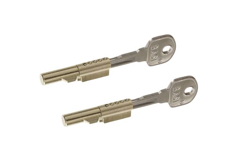BASI Türriegel Schlüssellochsperrer für Buntbart-Schlösser, (Spar-Set, 2-tlg), 2er Set, Gleichschließend, Sicherung BB-Schloss, 2 Stück, 4 Schlüssel von BASI