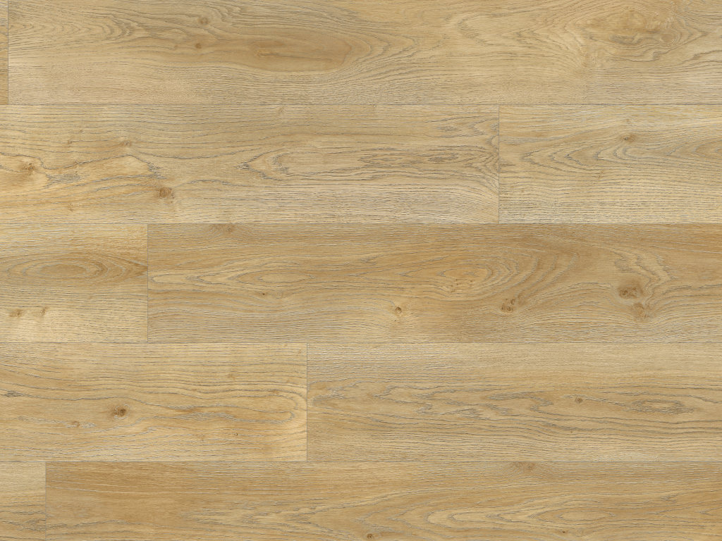 BASICfloor Laminat Eiche Natur XL-Landhausdiele - 8 mm Stärke, Klickverbindung, strukturiert, 4-seitige Fase von BASICfloor