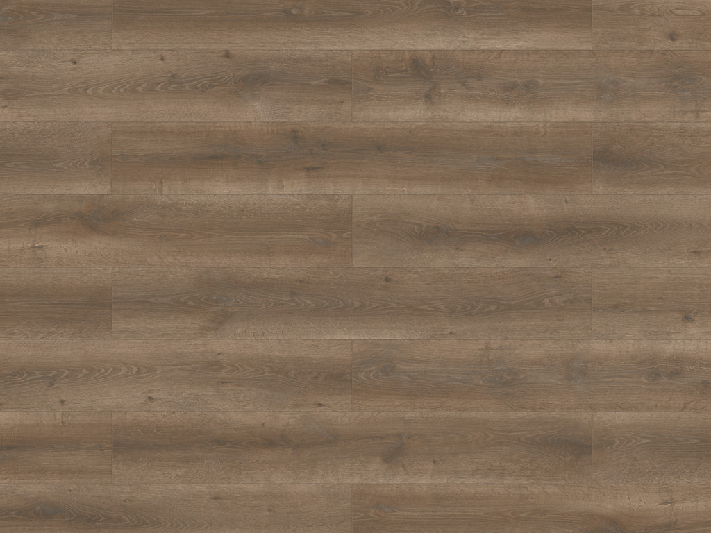 BASICfloor Laminat Lifestyle Trend Bellemont Oak black brown Landhausdiele - 8 mm stark, glatt, feuchtraumgeeignet, 4-seitige Fase von BASICfloor