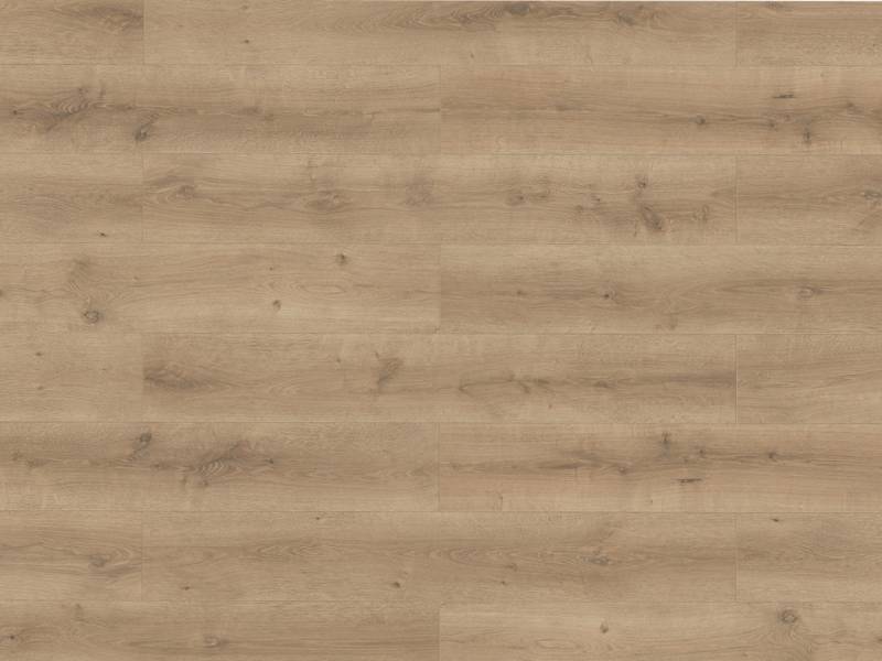 BASICfloor Laminat Lifestyle Trend Bellemont Oak grey brown Landhausdiele - 8 mm stark, glatt, feuchtraumgeeignet, 4-seitige Fase von BASICfloor