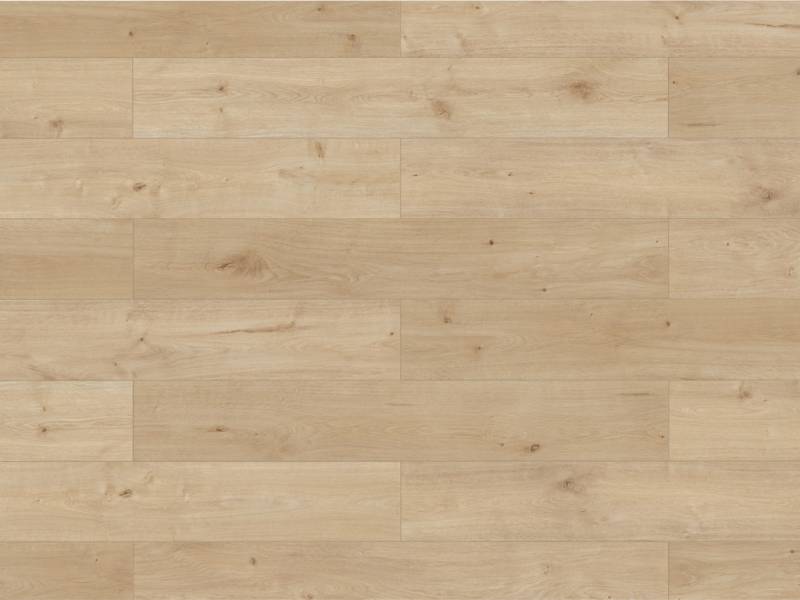 BASICfloor Laminat Lifestyle Trend Bellemont Oak greige Landhausdiele - 8 mm stark, glatt, feuchtraumgeeignet, 4-seitige Fase von BASICfloor