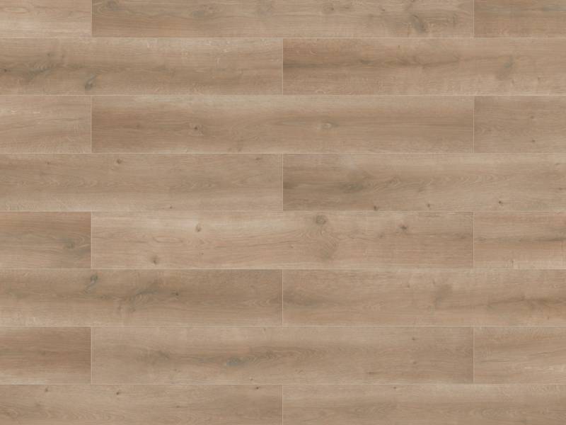 BASICfloor Laminat Lifestyle Trend Bellemont Oak natur brown Landhausdiele - 8 mm stark, glatt, feuchtraumgeeignet, 4-seitige Fase von BASICfloor