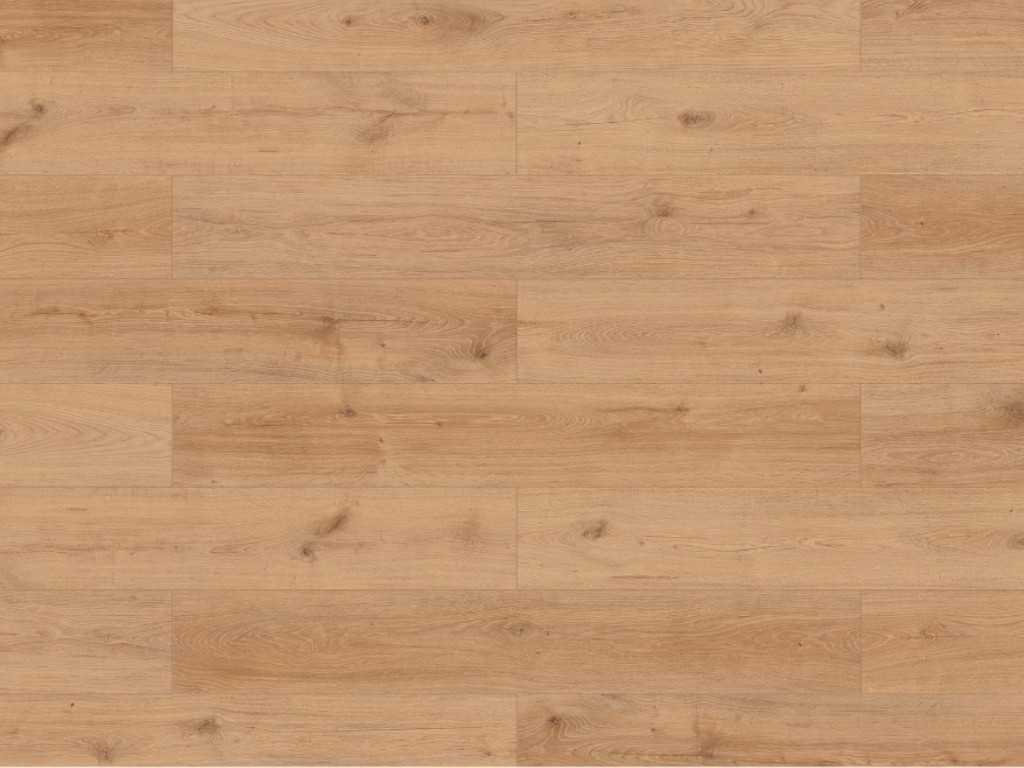 Timefloor Laminat Skyline Trend Harmony Oak light natural Landhausdiele - 8 mm stark, strukturiert, feuchtraumgeeignet, 4-seitige Fase von Timefloor