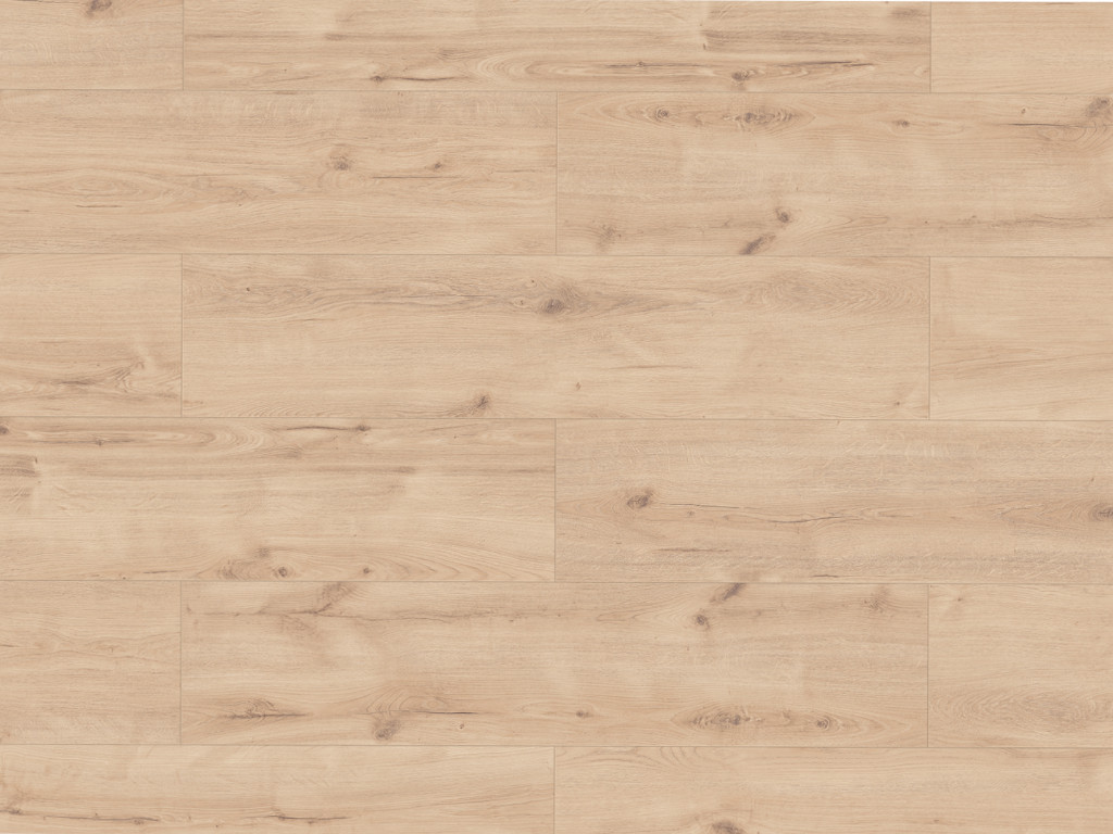 Timefloor Laminat Skyline Trend Harmony Oak rustic beige Landhausdiele - 8 mm stark, strukturiert, feuchtraumgeeignet, 4-seitige Fase von Timefloor