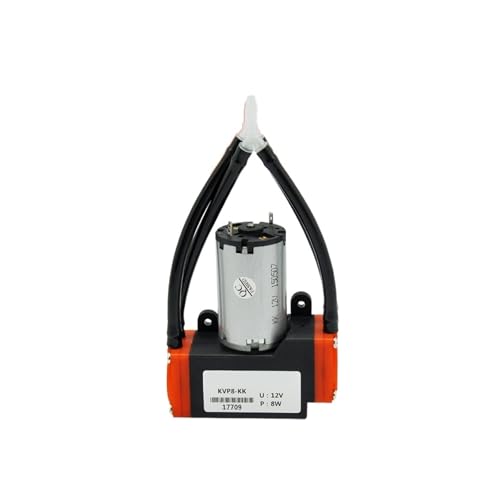 BASSFLY Mikroelektrische Membran-Mini-Luft-/Vakuumpumpe mit Bürstenmotor und Doppelkopf(KK) von BASSFLY