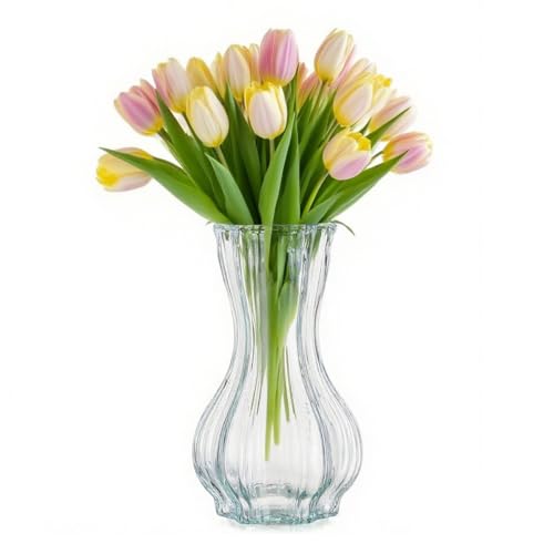 BAITNO Blumenvase Vase Glas 19.7 cm Hoch, ⌀ 8.8 cm, Modern Glasvase für Blumen Glasblumenvase Vasen Tulpen Klarglasvase Deko-Vase aus Glas Wohnzimmer Kleine Vase für Tischdeko bei Hochzeiten & Partys von BATINO