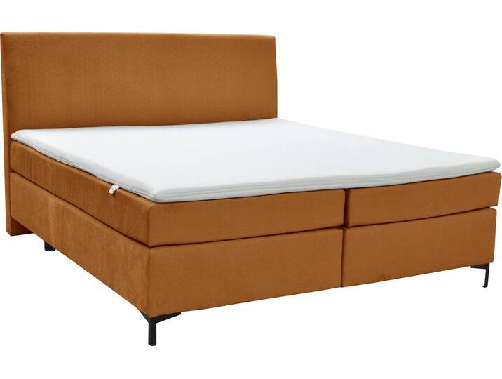 Boxspringbett ALINA Petro , braun (ocker dfn, dfh 65), B:162cm L:215cm, Samtstoff DFN (100% Polyester), Samtstoff DFH (100% Polyester), Komplettbetten, Boxspringbett, inklusive Matratze und Topper, in diversen Ausführungen von BAUR