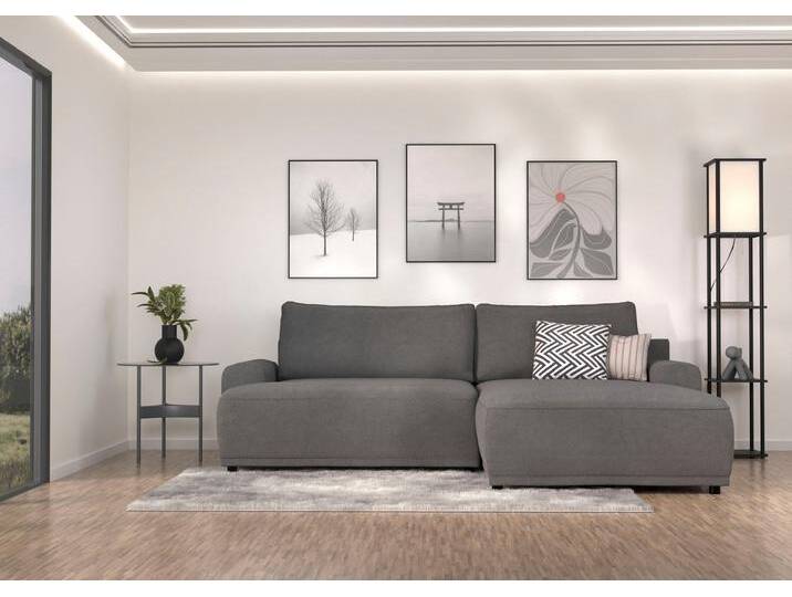 Ecksofa TRENDMANUFAKTUR Fordon, Schlafsofa mit Bettkasten, Couch in L-Form, Breite 250 cm , grau (anthrazit), B:250cm H:82cm T:167cm, 100% Polyester, Sofas, in Struktur fein LEO, haustierfreundlich, schlamm, Recamiere links von BAUR
