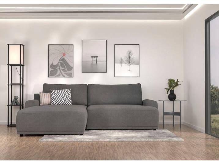 Ecksofa TRENDMANUFAKTUR Fordon, Schlafsofa mit Bettkasten, Couch in L-Form, Breite 250 cm , grau (anthrazit), B:250cm H:82cm T:167cm, 100% Polyester, Sofas, in Struktur fein LEO, haustierfreundlich, schlamm, Recamiere links von BAUR