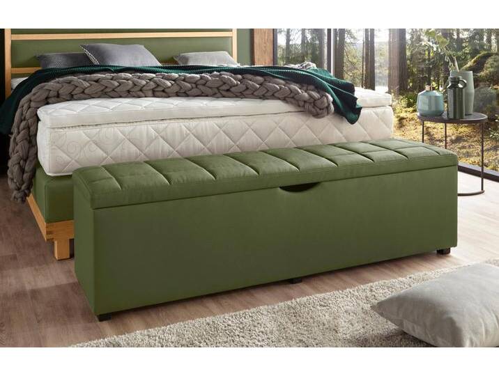 Hockerbank PLACES OF STYLE Checked , grün, B:160cm H:42cm T:40cm, Struktur fein (100% Polyester) für Bett Classico, Piazza, Premium und Vega;Struktur (100% Polyester) für Bett Crato und Lucina;Struktur (60% Baumwolle, 40% Leinen) für Bett Kiss;Kunstleder für Bett Natura;Struktur (100% Polyester) für Bett Nordica, Hocker, mit Stauraum, Breite 120 cm und 160 cm, als Bettbank geeignet von BAUR