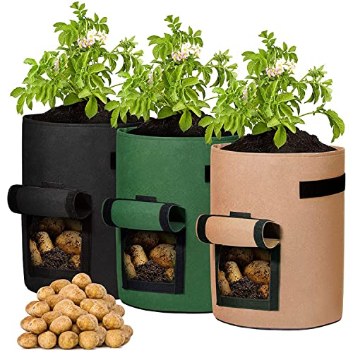 3X Kartoffelpflanzsäcke Hochbeet Garten Balkon - 10 Gallonen Pflanztopf Pflanzsack Kartoffelsack Pilze Züchten Set - Pflanzsäcke Pflanztöpfe für Erdbeerturm Kartoffeln Blumen Gemüse, Gemischte - 38L von BAUZEIT