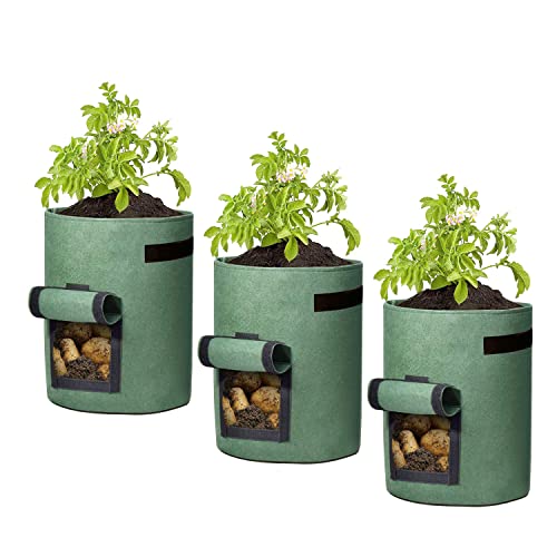 3X Kartoffelpflanzsäcke Hochbeet für Garten Balkon - 10 Gallonen Pflanztopf Pflanzsack Kartoffelsack Pilze Züchten Set - Pflanzsäcke Pflanztöpfe für Erdbeerturm Kartoffeln Blumen Gemüse, Grün - 38L von BAUZEIT