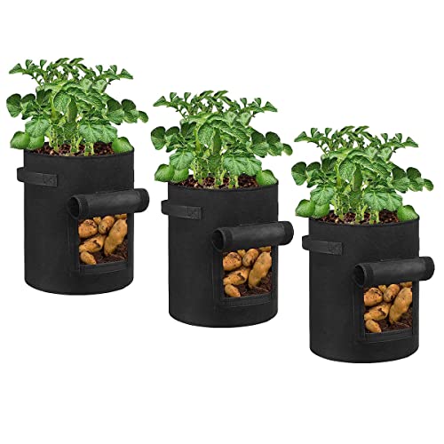 3X Kartoffelpflanzsäcke Hochbeet für Garten Balkon - 4 Gallonen Pflanztopf Pflanzsack Kartoffelsack Pilze Züchten Set - Pflanzsäcke Pflanztöpfe für Erdbeerturm Kartoffeln Blumen Gemüse, Schwarz - 15L von BAUZEIT