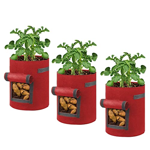 3X Kartoffelpflanzsäcke Hochbeet für Garten Balkon - 7 Gallonen Pflanztopf Pflanzsack Kartoffelsack Pilze Züchten Set - Pflanzsäcke Pflanztöpfe für Erdbeerturm Kartoffeln Blumen Gemüse, Rot - 26L von BAUZEIT