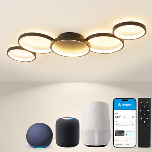 BAYHT Deckenlampe mit Fernbedienung, Wohnzimmerlampe with Matter Kompatibel Mit HomeKit, Alexa, Google and IFTTT, 50W Modern LED Deckenleuchte Für Schlafzimmer Wohnzimmer (100cm, Schwarz) von BAYHT