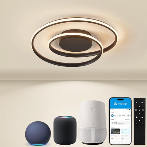 BAYHT Deckenleuchte mit Fernbedienung, Deckenlampe Schlafzimmer with Matter Kompatibel Mit HomeKit, Alexa, Google and IFTTT, 28W Modern LED Deckenleuchte Für Schlafzimmer Wohnzimmer (Ø48cm, Schwarz) von BAYHT