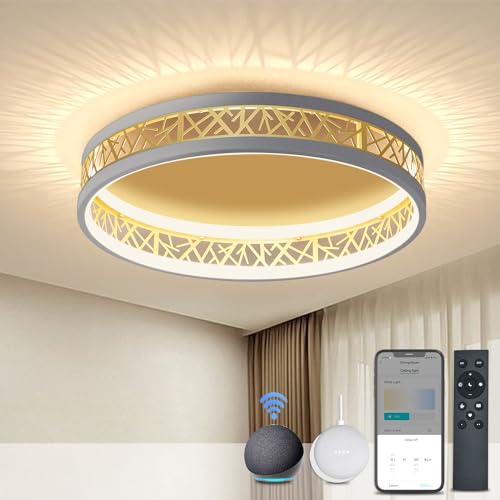 BAYHT Smart LED Deckenleuchte Kompatibel Mit Alexa App Google Home 48W 4200LM Deckenlampe Runde Grau Mit Fernbedienung, 3000K-6000K Alexa Deckenleuchte Für Schlafzimmer Wohnzimmer 52CM von BAYHT