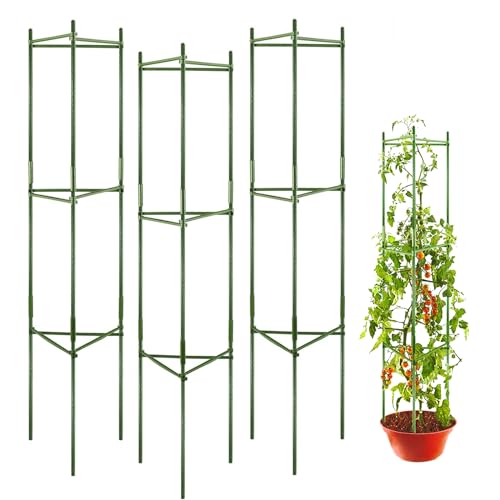 Tomaten Rankhilfe 120 cm, Rankhilfen für Kletterpflanzen, Obelisk Rankhilfe Pflanzenstütze, Pfingstrose Erbse Tomate Gurken Rankhilfe Pflanzenspalier Pflanzenstütze (3 Stück) von BAYINBROOK