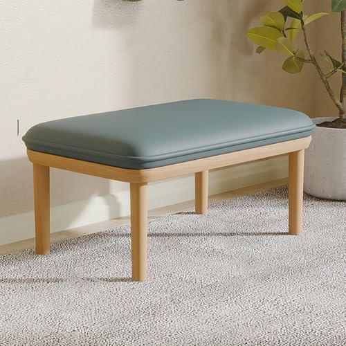 BAYTEWJX Sitzbank 2-Sitzer Essbank Holzbank Gepolstert Holzbank mit Sitzauflagen Wohnzimmerbank für Schlafzimmer Flur.(Blauw,80x45x38cm) von BAYTEWJX