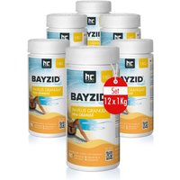 Bayzid - 12x 1 kg ® pH Plus Granulat für den Pool von BAYZID