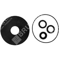 Dichtungssatz für ROVER POMPE COMPATIBLE Elektropumpen – 000011 von BAZARGIUSTO