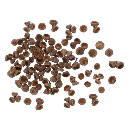 BAZEITFLOW 100 Stück Natürliche Eicheln Schalen Deko Set Umweltfreundliche Bastelmaterialien für Weihnachtsbaum Deko Partydeko und Herbst Hochzeit Trocken Acorn Ornament für DIY Handwerk und BAZEITFLOW 100 Stück Natürliche Eicheln Schalen Deko Set Umweltfreundliche Bastelmaterialien für Weihnachtsbaum Deko Partydeko und Herbst Hochzeit Trocken Acorn Ornament für DIY Handwerk und von BAZEITFLOW