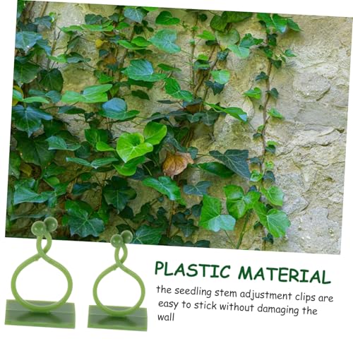 BAZEITFLOW 120 Stück Verstellbare Pflanzenclips Transparent Selbstklebende Kletterpflanzenhalter für Innenbereich Wiederverwendbare Kunststoff Rankhilfe zur Wandbefestigung Schont Pflanzen BAZEITFLOW 120 Stück Verstellbare Pflanzenclips Transparent Selbstklebende Kletterpflanzenhalter für Innenbereich Wiederverwendbare Kunststoff Rankhilfe zur Wandbefestigung Schont Pflanzen von BAZEITFLOW