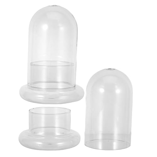 BAZEITFLOW 2 Stück Landschafts Ökoflasche Glas Terrarium mit Moosflasche DIY Dekoration für Pflanzenflaschengarten und Kreative Mini Terrarien Schreibtisch Wohnzimmer von BAZEITFLOW