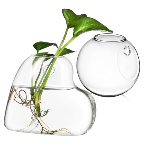 BAZEITFLOW 2 Stück Teiliges Wandglas Terrarium aus Hochwertigem Borosilikat Bruchsicherer Pflanzenhalter für Hydroponik Einfache Wandmontage Modernes Dekor für Zimmerpflanzen und Grüne von BAZEITFLOW