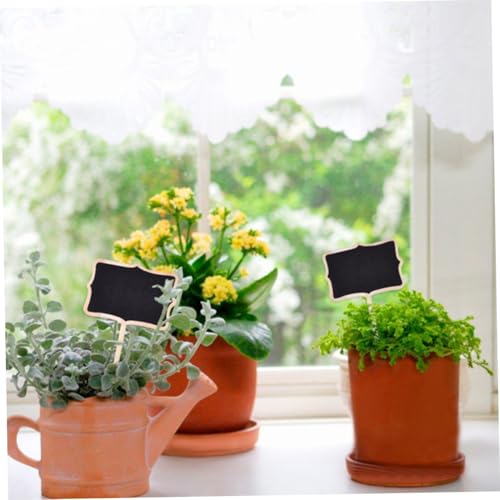 BAZEITFLOW 20 Stück Teiliges Holz pflanzenschilder mit Kreidetafel Mini Gartenstecker zum Beschriften Wetterfest Vielseitig für Pflanzenklassifikation Gartendeko und DIY beschriftungen im BAZEITFLOW 20 Stück Teiliges Holz pflanzenschilder mit Kreidetafel Mini Gartenstecker zum Beschriften Wetterfest Vielseitig für Pflanzenklassifikation Gartendeko und DIY beschriftungen im von BAZEITFLOW