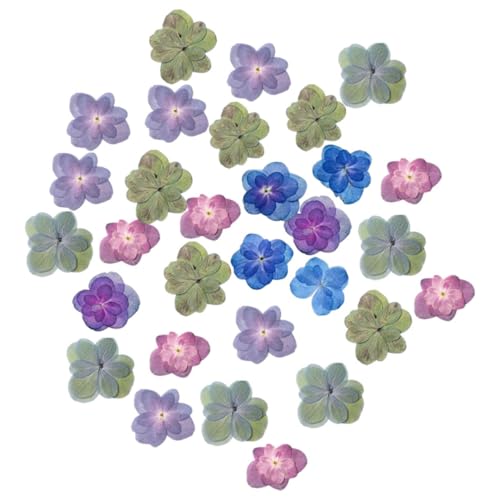 BAZEITFLOW 30 Stück Teiliges Getrocknete Geprägte Trockenblumen für Resin DIY Natürliche Farbintensive Blüten Vielseitig Einsetzbar für Scrapbooking Kerzen Schmuck und Bastelprojekte BAZEITFLOW 30 Stück Teiliges Getrocknete Geprägte Trockenblumen für Resin DIY Natürliche Farbintensive Blüten Vielseitig Einsetzbar für Scrapbooking Kerzen Schmuck und Bastelprojekte von BAZEITFLOW