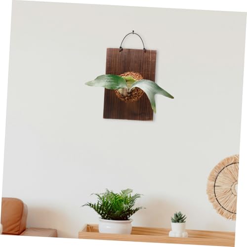 BAZEITFLOW 4 Stück Rustikales Hängendes Holzschild Pflanzenhalter Holzbrett Rechteckig Leicht Montierbar für Sukkulenten und Kletterpflanzen Balkon Wohnzimmer Dekoration von BAZEITFLOW