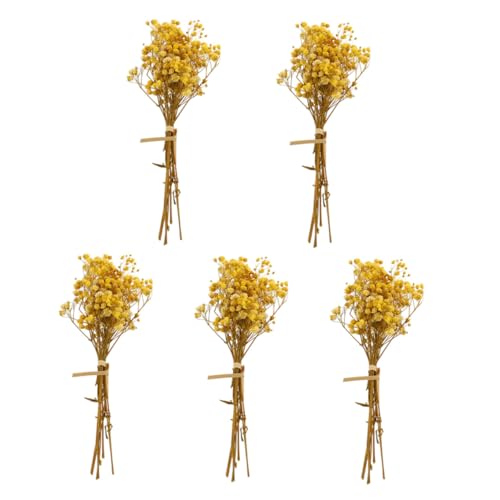 BAZEITFLOW 5 Stück Teiliges Trockenblumenstrauß aus Getrockneter Babysbreath Natürlicher Gypsophila Wetterbeständig Langlebig für Wohnraumdekoration DIY Bastelprojekte und Geschenkboxen von BAZEITFLOW