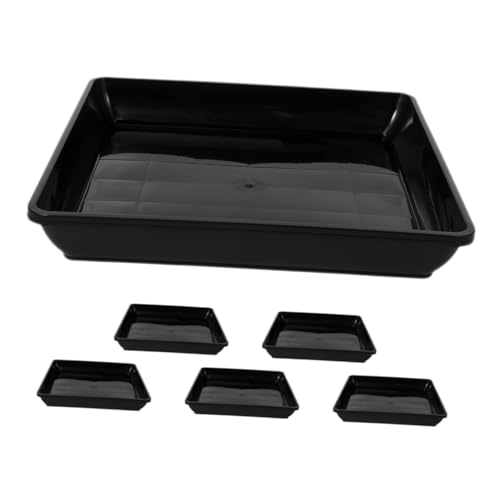 BAZEITFLOW 6 Stück Quadratische Kunststoff Blumentöpfe Untersetzer Wasserspeicher Tropfschalen für und Außengebrauch für Sukkulenten und Balkonpflanzen BAZEITFLOW 6 Stück Quadratische Kunststoff Blumentöpfe Untersetzer Wasserspeicher Tropfschalen für und Außengebrauch für Sukkulenten und Balkonpflanzen von BAZEITFLOW