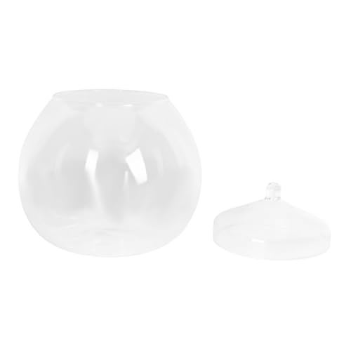 BAZEITFLOW Glas Mikrolandschafts Flasche mit Deckel Ökologische Terrarium Dekoration für Zuhause DIY Mooslandschaft Glatter Glasbehälter Geeignet für Wohnzimmer Büro von BAZEITFLOW