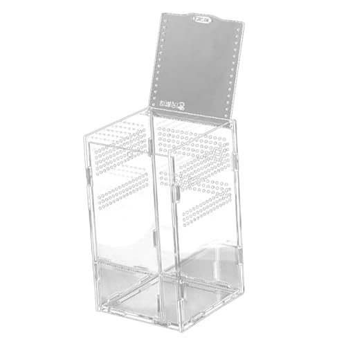 BAZEITFLOW Klares Kunststoff Terrarium Reptilien Transportbox Robuste Transparente Aufbewahrungsbox für Schlangen Vogelspinnen Skorpione Geckos für Reptilien und Kleine Haustiere BAZEITFLOW Klares Kunststoff Terrarium Reptilien Transportbox Robuste Transparente Aufbewahrungsbox für Schlangen Vogelspinnen Skorpione Geckos für Reptilien und Kleine Haustiere von BAZEITFLOW