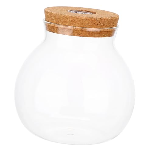 BAZEITFLOW LED Glasflasche mit Weißem LED Licht Mikrolandschaftliche Dekovase für DIY Flaschengarten Transparenter Aquarienbehälter Kompakt für Zimmerdekoration Wohnzimmer und Büro von BAZEITFLOW