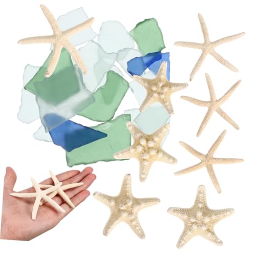 BAZEITFLOW Meeresglas und Seesterne Küsten Deko Meeresschmuck für Aquarium Vasen Dekoration Strand Design Natürliche Küsten Ornamente für Wohnraum und Fischbecken von BAZEITFLOW