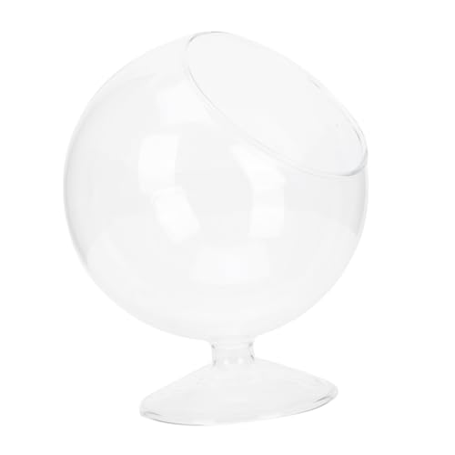 BAZEITFLOW Multifunktionaler Glasblumentopf aus Hochwertigem Borosilikat Transparenter Runder Pflanzenglasbehälter für Sukkulenten und Mikrolandschaften Dekoratives Wohnaccessoire von BAZEITFLOW