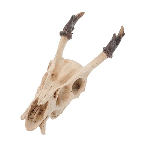 BAZEITFLOW Natürlicher Reptilienversteck Schädel aus Resin Mittelgroße Höhle für Schildkröten Schlangenterrarien Natürlicher Unterschlupf für Bartagamen Frösche und Wasseraquarien Dekoratives BAZEITFLOW Natürlicher Reptilienversteck Schädel aus Resin Mittelgroße Höhle für Schildkröten Schlangenterrarien Natürlicher Unterschlupf für Bartagamen Frösche und Wasseraquarien Dekoratives von BAZEITFLOW