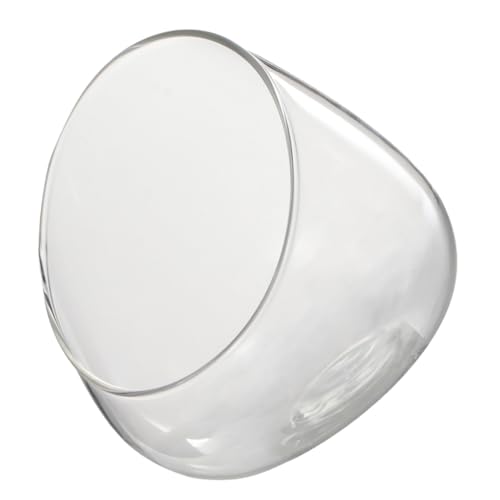 BAZEITFLOW Ökologische Glasflasche mit Abgeschrägtem Transparentes Micro Terrarium für Sukkulenten und Moos Vielseitiges Dekorations und Aufbewahrungsglas für Zuhause und Büro von BAZEITFLOW