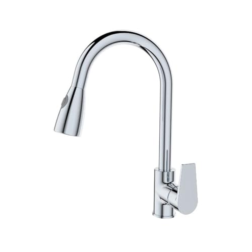 Spültischarmatur mit ausziehbarer schwenkbarer verchromter Brause Ø40 mm - Le Mans | Tecom von BB BuyBath