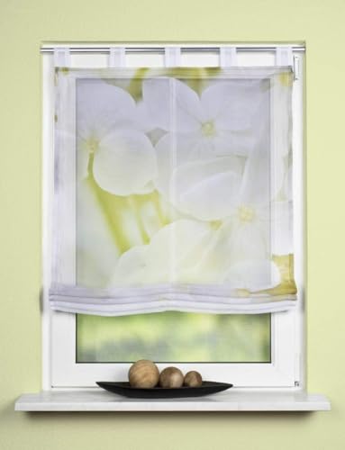 Schlaufenrollo Raffrollo Gardine Raffgardine Vorhang für Fenster in Weiss Grün Blumen halbtransparent 1 Stück BxH: 80 x 140 cm Schlaufenrollo Raffrollo Gardine Raffgardine Vorhang für Fenster in Weiss Grün Blumen halbtransparent 1 Stück BxH: 80 x 140 cm von BB-Toy-Trades