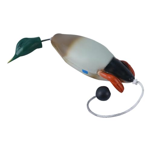 BBASILIYSD Hundetraining Ente Schnuller Trainer Hund Retrieval Training Spielzeug Vogel Dummy Stockente imitiert D für Welpen Ente Jagd Stoßstange Spielzeug BBASILIYSD Hundetraining Ente Schnuller Trainer Hund Retrieval Training Spielzeug Vogel Dummy Stockente imitiert D für Welpen Ente Jagd Stoßstange Spielzeug von BBASILIYSD