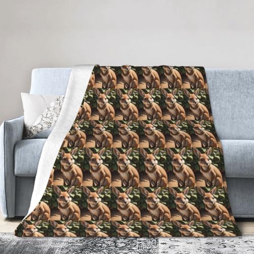 Funny For Kangaroo Zoo Print Ultra Soft Flannel Blanket Breathable Cozy Lightweight Blankets For Bed Sofa Camping von BBAytu