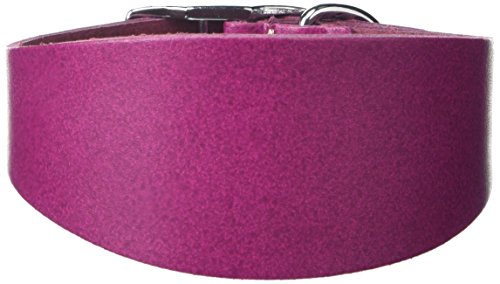 BBD Pet Products Budget Whippet-Halsband, Einheitsgröße, 1,9 x 25,4 bis 30,5 cm, Boysenberry von BBD Pet Products