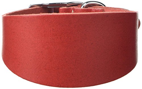 BBD Pet Products Budget Whippet-Halsband, Einheitsgröße, 1,9 x 25,4 bis 30,5 cm, Rot von BBD Pet Products