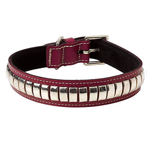 BBD Pet Products Gewölbtes Lederhalsband, Einheitsgröße, 0,6 x 40,6 bis 48,3 cm, Boysenberry von BBD Pet Products