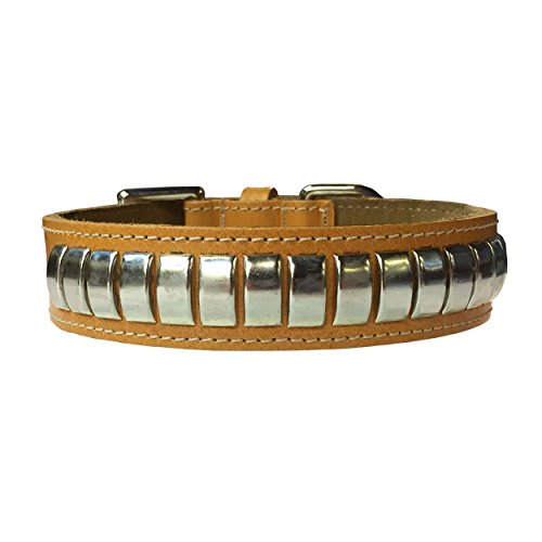 BBD Pet Products Gewölbtes Lederhalsband, Einheitsgröße, 0,6 x 40,6 bis 48,3 cm, Hellbraun von BBD Pet Products