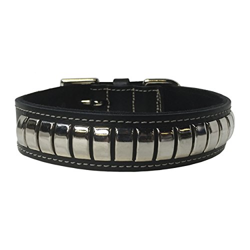 BBD Pet Products Gewölbtes Lederhalsband, Einheitsgröße, 1/4 x 16 bis 48 cm, Schwarz von BBD Pet Products